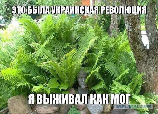 Картинки на Воскресенье, ассорти.