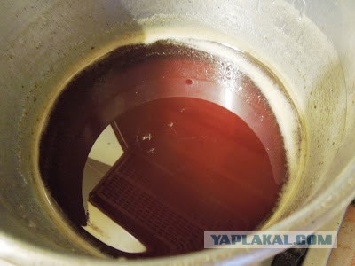 Варенье из сосны