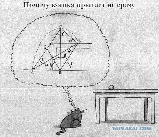 Позитивные картинки