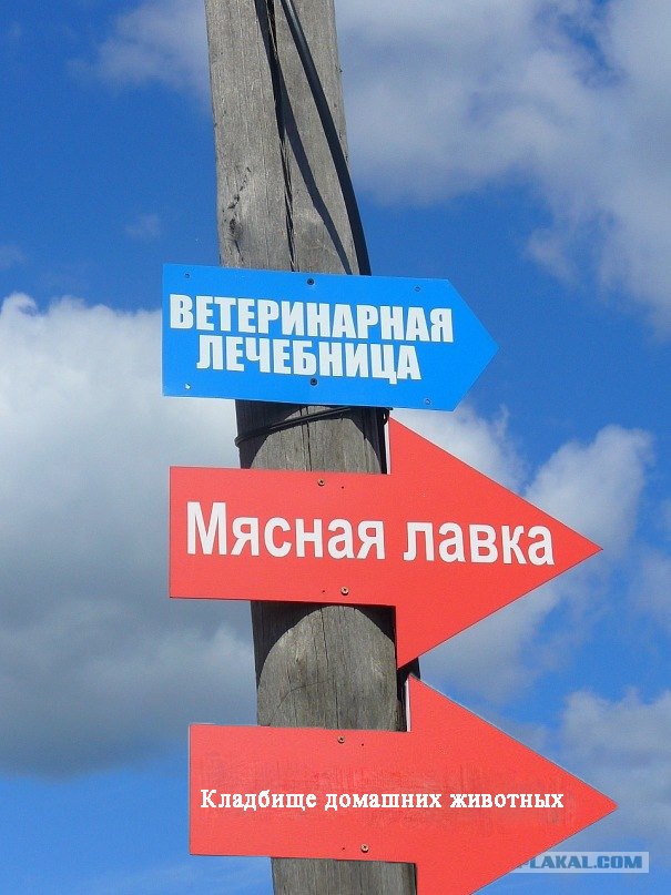 Приходите к нам лечиться...