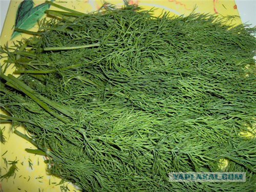 Эпизоды ©Rumer