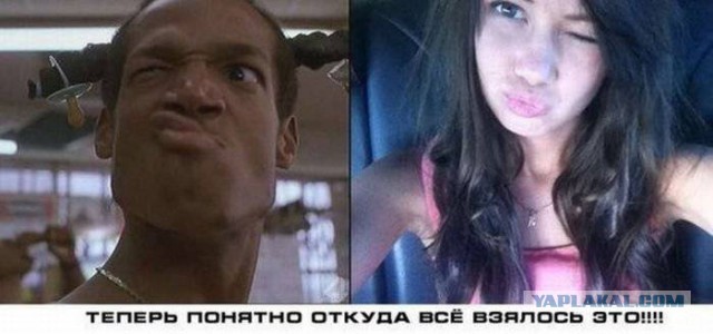 Веселые картинки