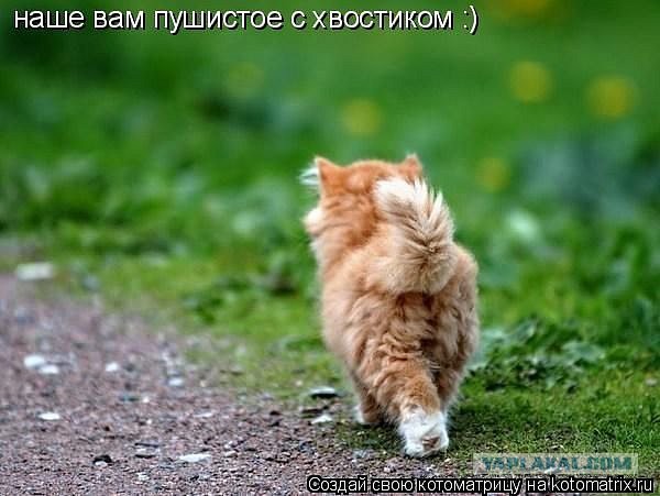 Облом пацаны