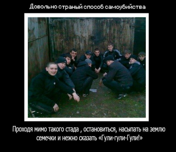 Смешные картинки, приколы, комментарии и прочее...