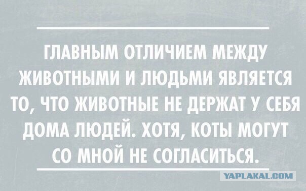 Картинки с буквами