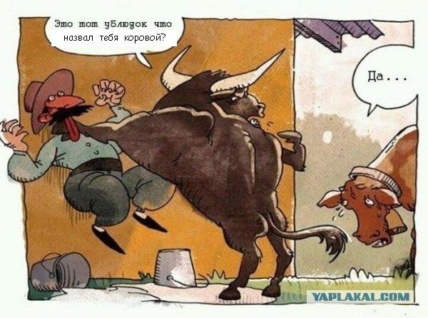 Это он трогал твои сиськи?