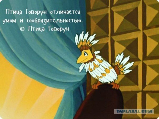 20 киноцитат, после которых