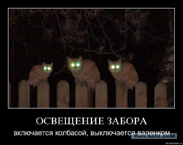 Вторник-повторник