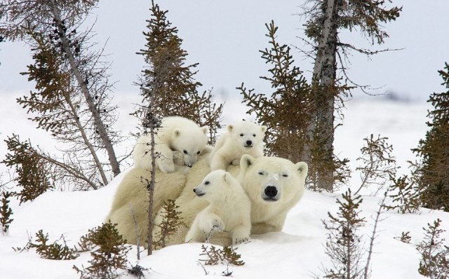 Наши "повседневные" проблемы