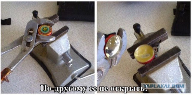 Подборка прикольных фото на среду