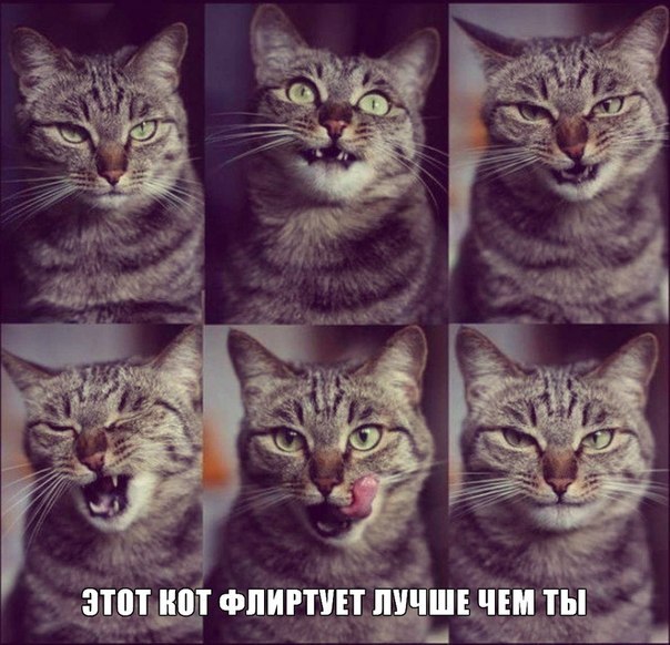 картинки на выходные