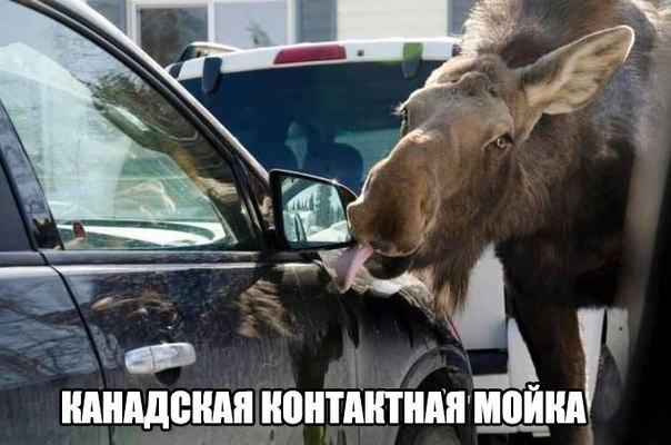 Депрессивный понедельник