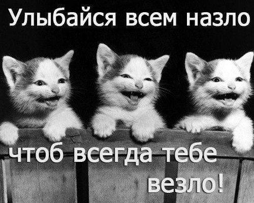 Всяко - разно...картинки