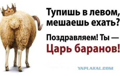 Учитель на трассе