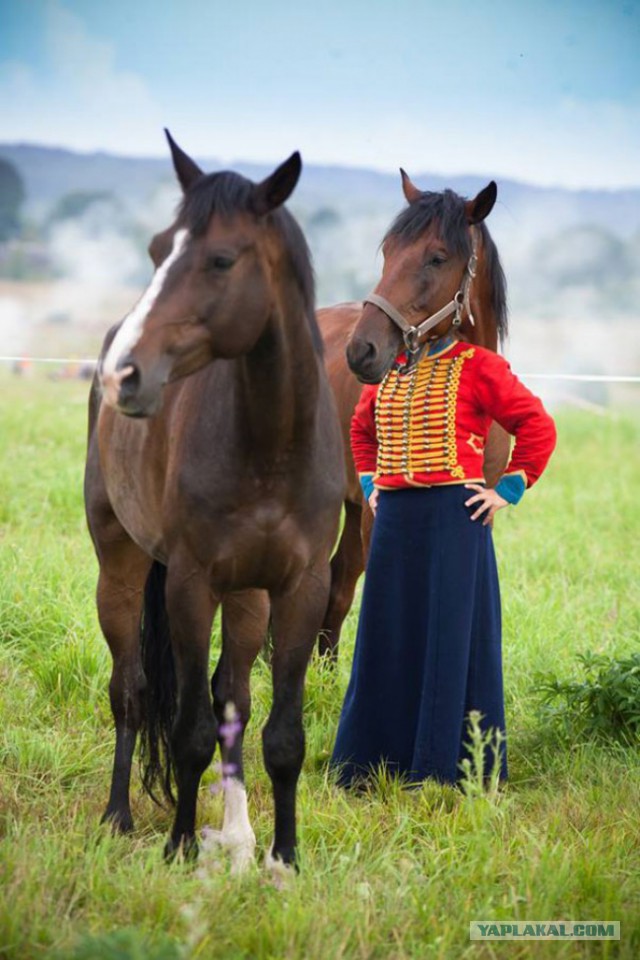 Подборка картинок 24.02.16
