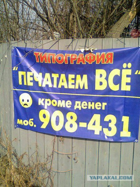 Картинки из сети