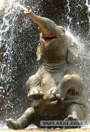 ТП в эфире Динамит ФМ