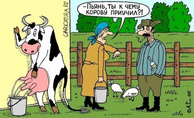 Картинки из Интернетов