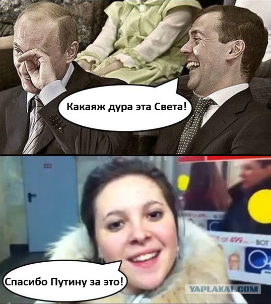 Нестыковки в эволюции: Виды есть, а предков нет