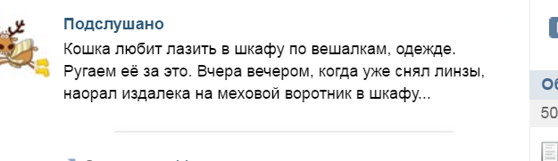 Моменты жизни