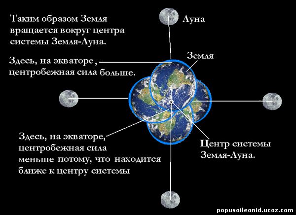 Новая теория эволюции