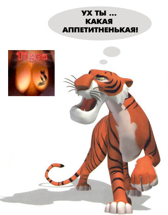 Тигры