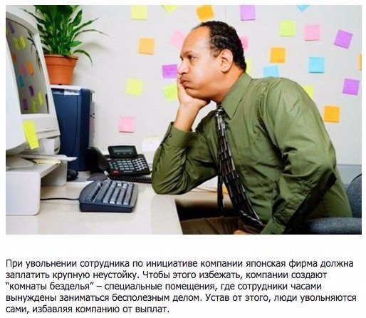 Прикольные картинки из интернета