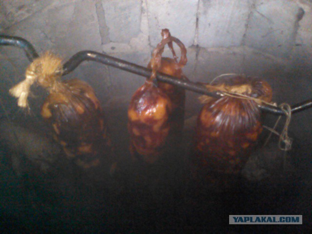 Колбасный FAQ. Делимся опытом, задаем вопросы, обсуждаем технологии.