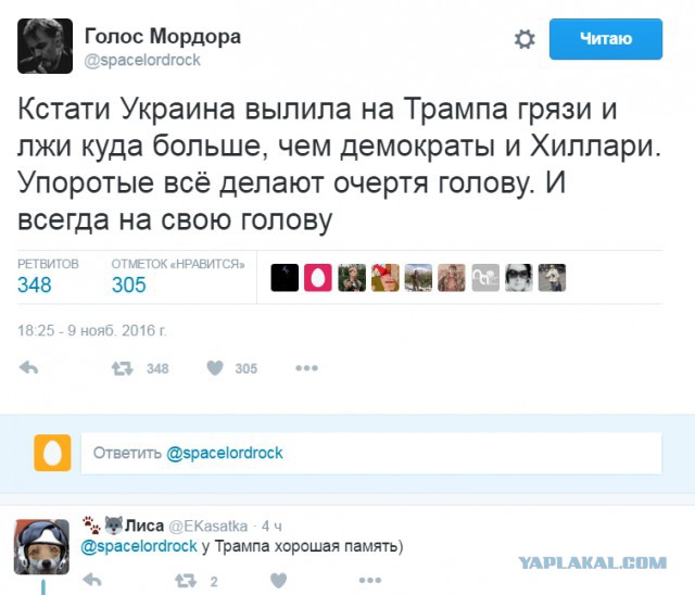 Юмор из соцсетей про выборы в США