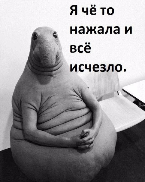Весёлые и прикольные картинки