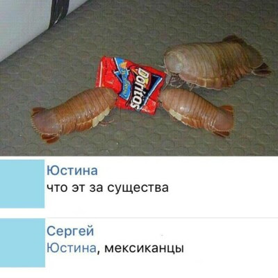 Подборка интересных и веселых картинок