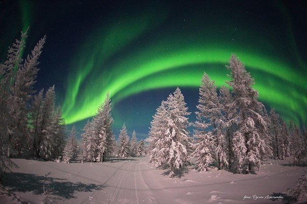 Фото интересные и не только