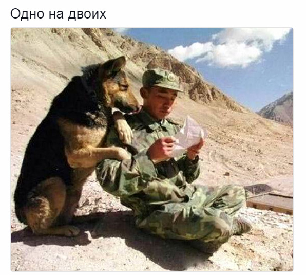 Подборка интересных и веселых картинок