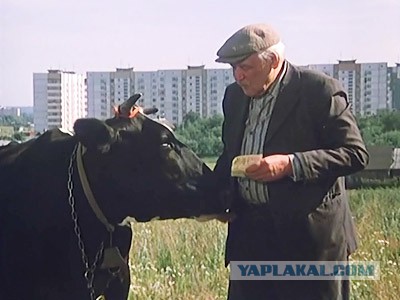 Когда собственность важнее денег
