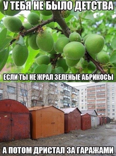 Приколы в стиле "регресс"