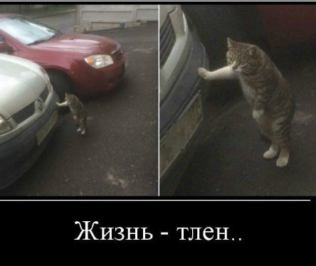 Просто юмор 17 (тяпничный)