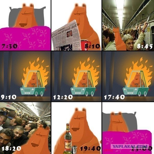 Американцы тупые. Миф или реальность?