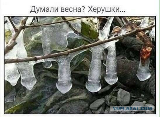 Давайте мозг уже отдохнёт, хорошо?