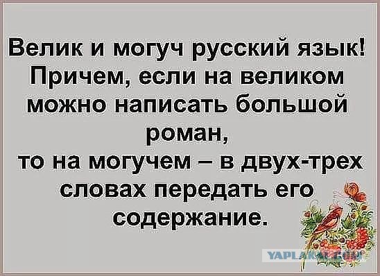 Смешные комментарии из социальных сетей.02.03.2018.
