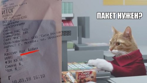 В работе сделай перерыв, пост с картинками открыв
