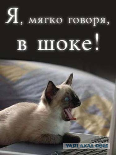 Обрубки - это "красиво"? Пилят во всех смыслах...