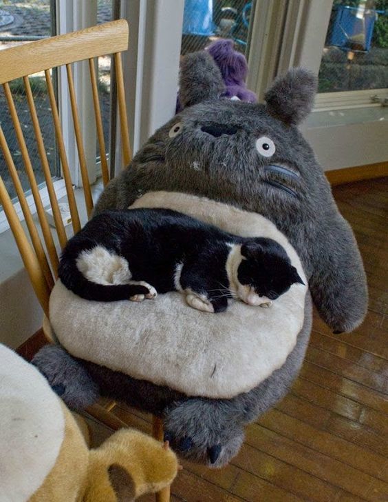 Кот без прикрас