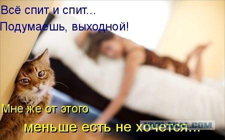 Котовторнику Да (09.12.08)