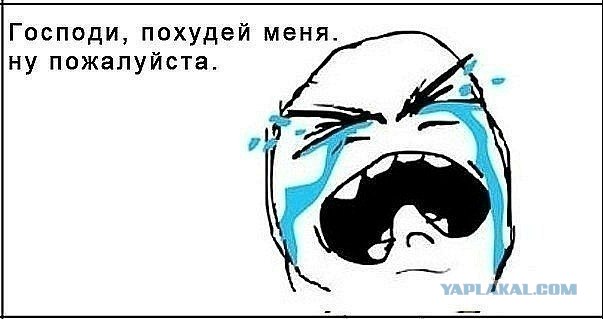 Кот породы "Спиешьпей"