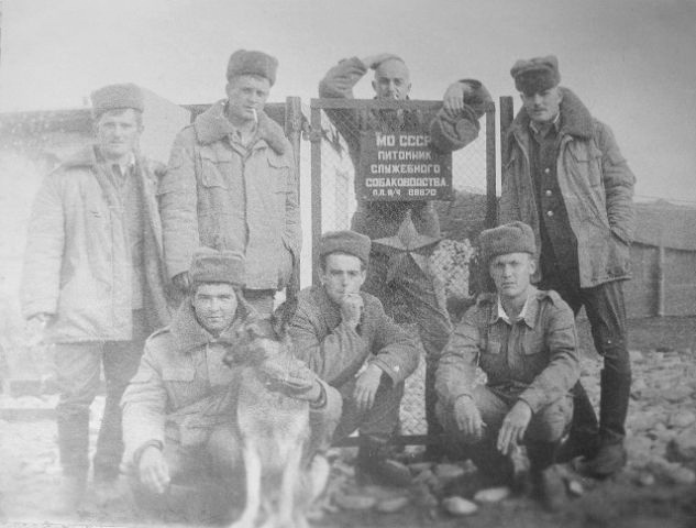 15 февраля. 30 лет со дня вывода советских войск из Афганистана.