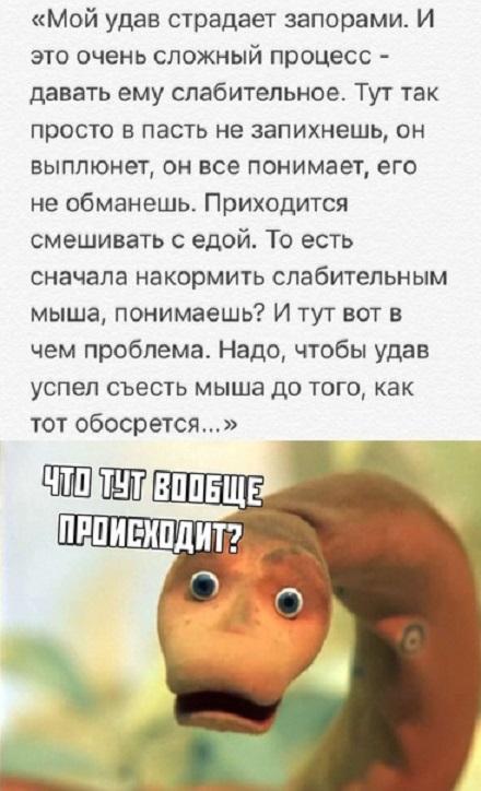 Прикольные комментарии и высказывания из Сети