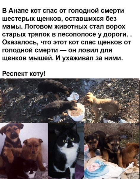 «Картинки разные нужны, картинки разные важны» 21.09