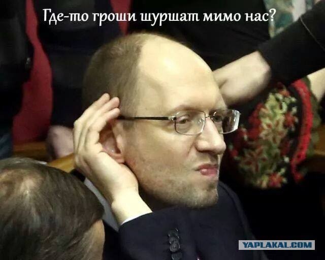 Нетолератные размышления американского профессора-еврея о чернокожих американцах