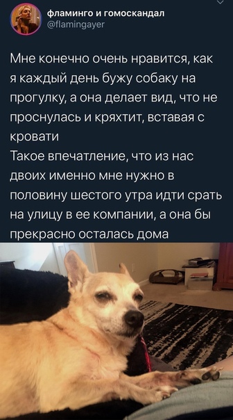 Картинки с надписями и анекдоты 28.09.19