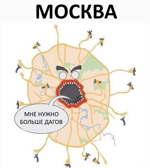 Немного картинок для настроения 26.11.19